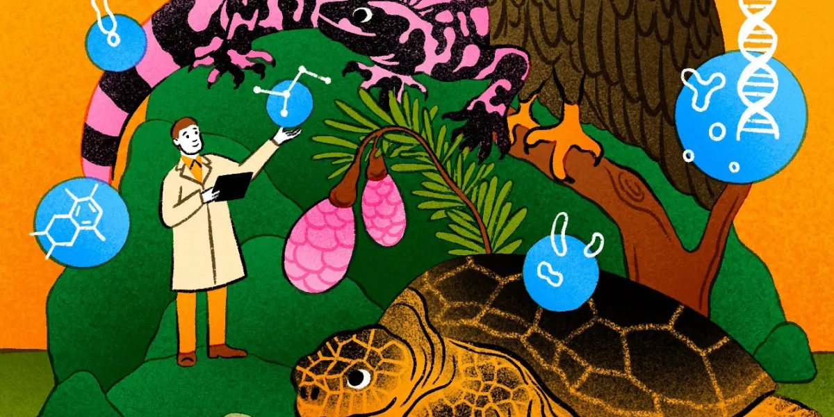 AI与生物化学如何为动植物未来研发药物