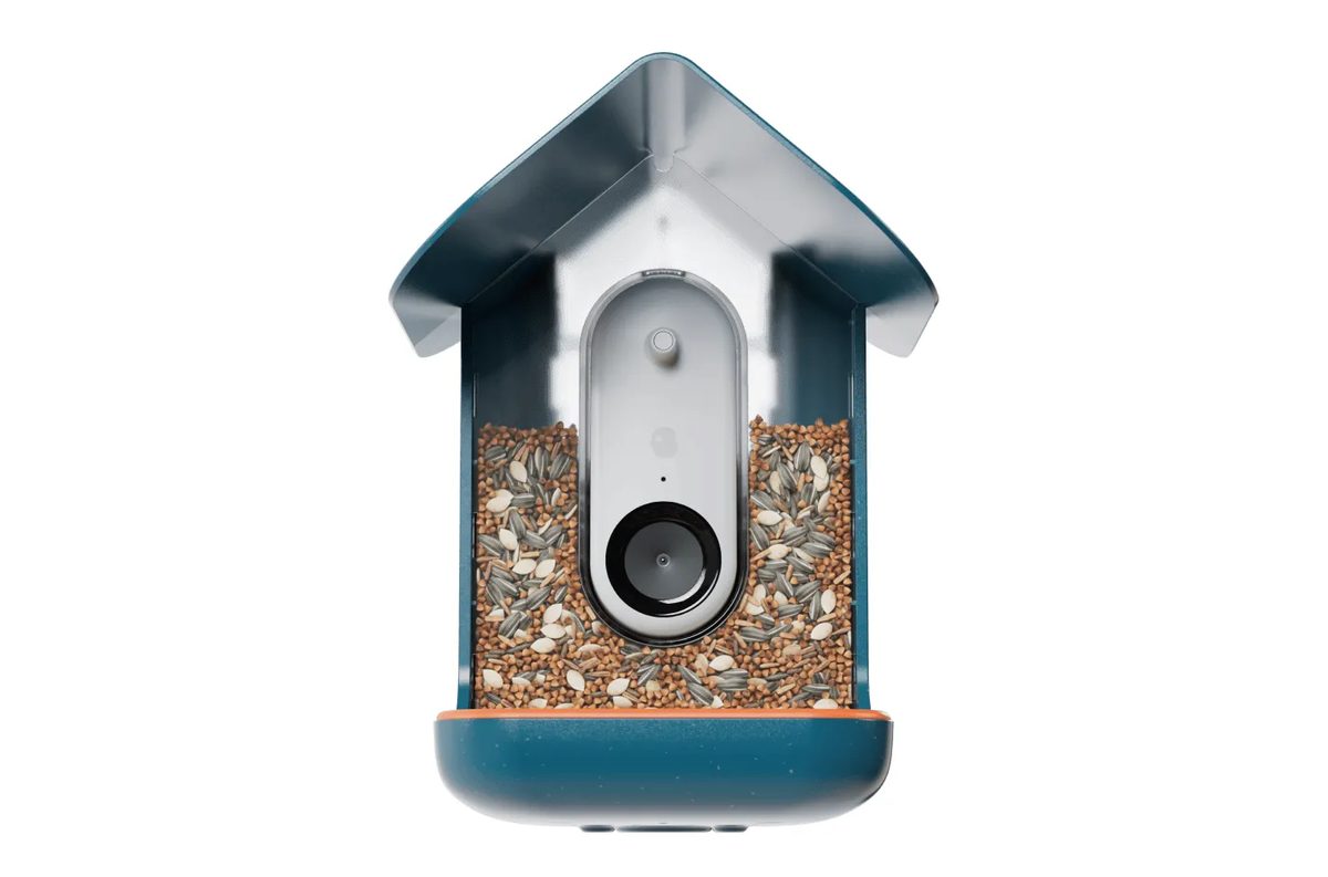 Умная кормушка Birdbuddy Pro с солнечной панелью подешевела до 12 562 ₽